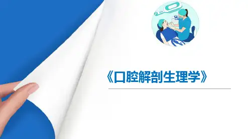 口腔颌面部颈部解剖—面颈部神经面神经(口腔解剖生理学课件)