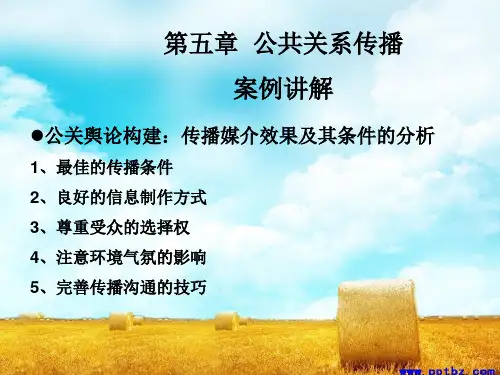 公关传播案例解析PPT(26张)