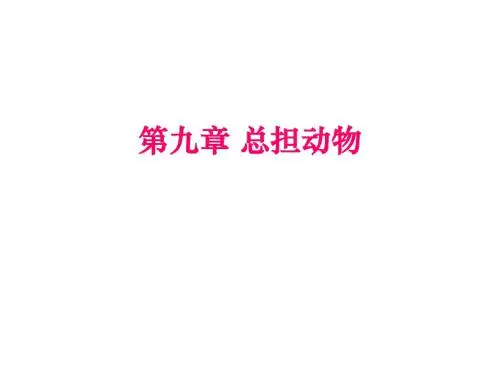 9-11总担动物  棘皮动物门
