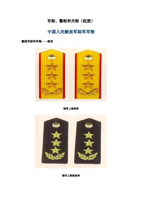 军衔、警衔和关衔(图示)