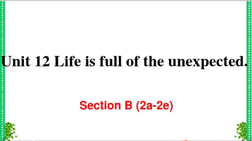 人教版英语九年级下册Unit 12 Section B (2a-2e)