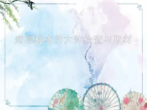 病理标本取材(一)