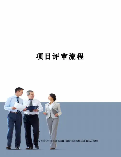 项目评审流程