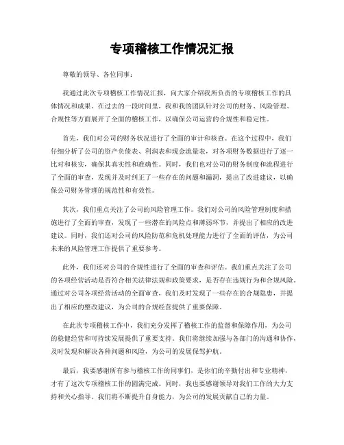 专项稽核工作情况汇报
