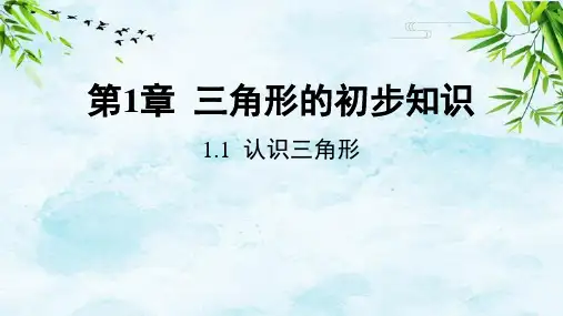 1.1 认识三角形八年级上册数学浙教版