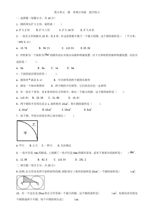 人教版六年级上册数学   第五单元  圆   重难点突破  专项训练