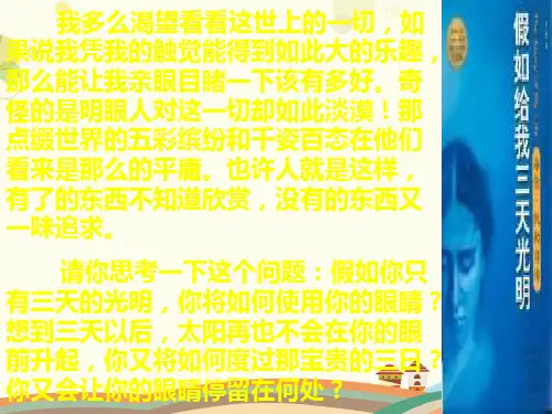《盲孩子和他的影子》-完整版课件