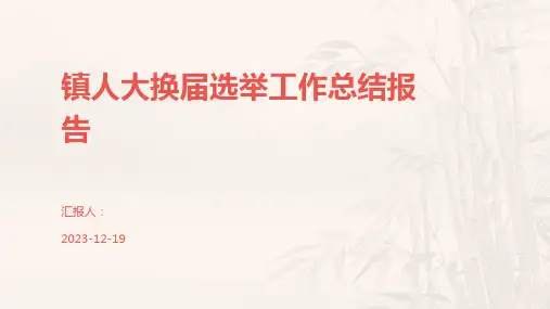 镇人大换届选举工作总结报告
