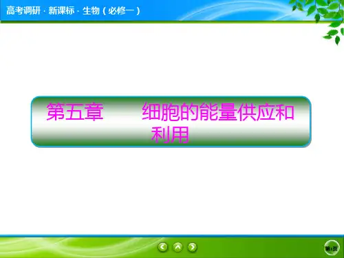 高考调研精讲精练人教必修1生物5-1