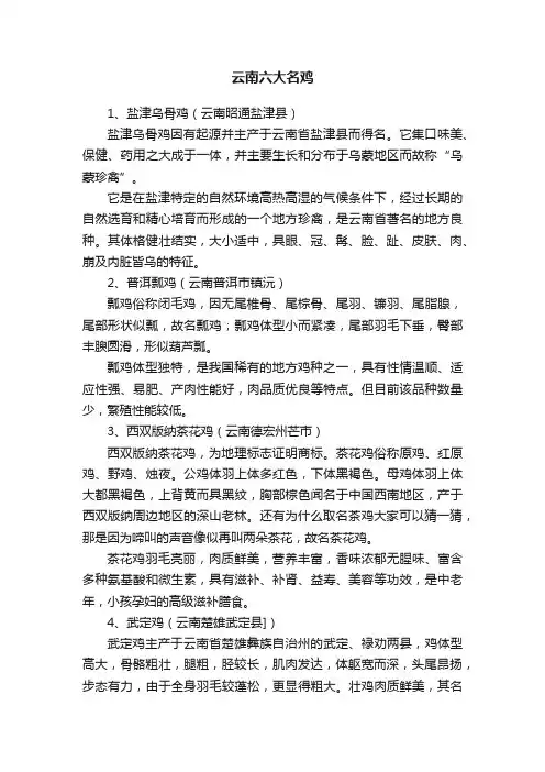 云南六大名鸡