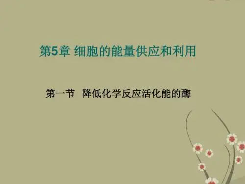 高中生物 降低化学反应活化能的酶课件 新人教版必修1