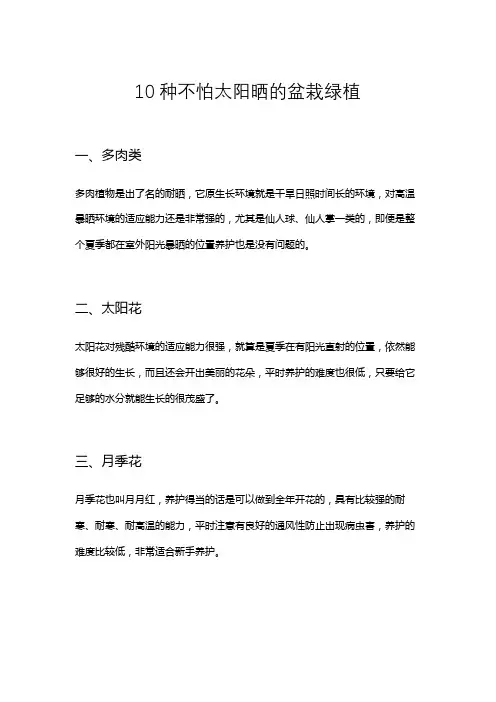 10种不怕太阳晒的绿植