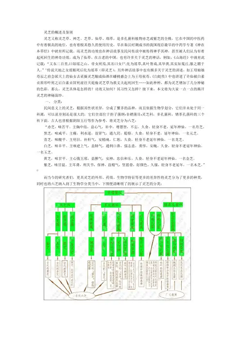 灵芝的鉴别及简述