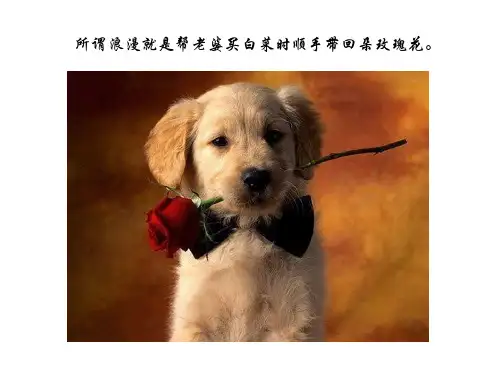 一张图一句话PPT课件