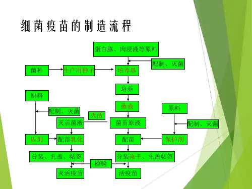 疫苗的制造流程与管理