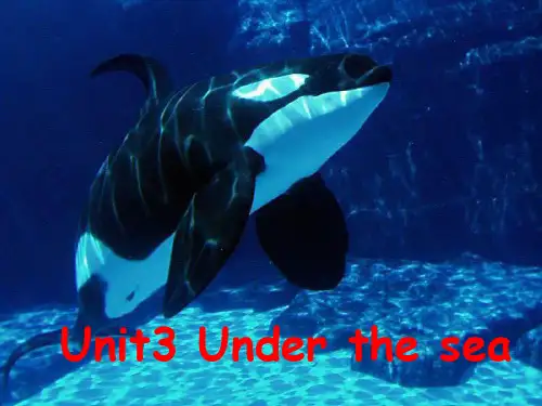 高中英语选修7 unit3 under the sea大课文 warming up and reading