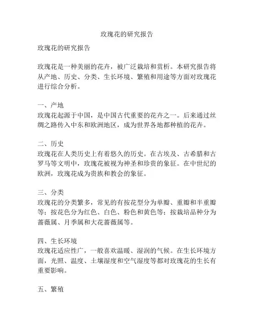 玫瑰花的研究报告