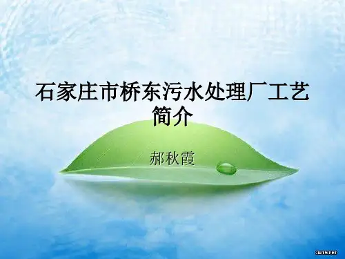 石家庄市桥东污水处理厂工艺简介