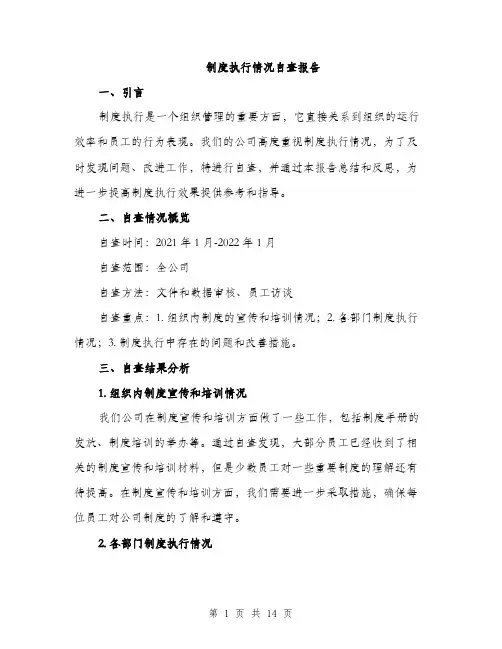 制度执行情况自查报告（5篇）