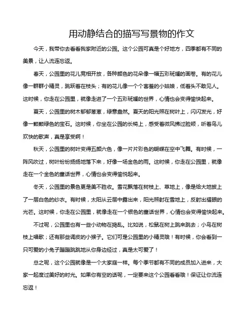 用动静结合的描写写景物的作文