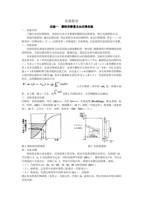 实验报告