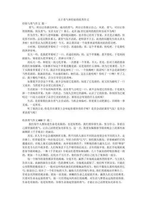 关于勇气和经验的优秀作文