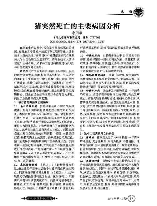 猪突然死亡的主要病因分析