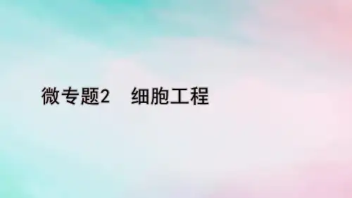 高考生物考前冲刺第1篇专题素能提升专题6生物技术与工程微专题2细胞工程