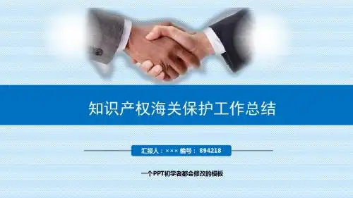 最新知识产权海关保护工作总结述职PPT模板