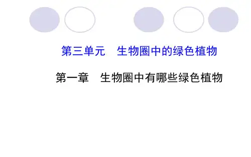 生物圈中有哪些绿色植物优秀复习课件PPT