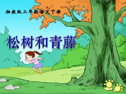《松树和青藤》PPT课件3