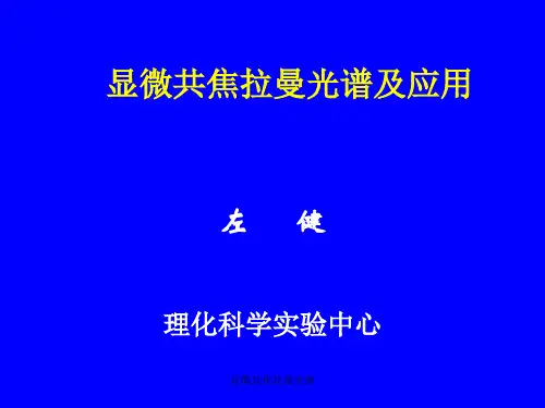 显微共焦拉曼光谱 ppt课件