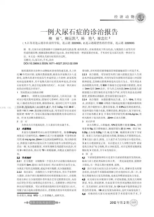 一例犬尿石症的诊治报告