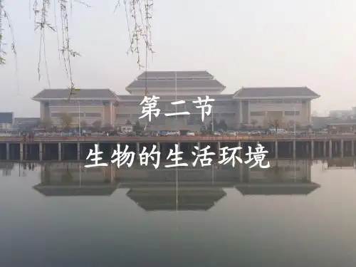 济南版七年级上册(新)第一单元第一章第二节 生物的生活环境课件  (共14张PPT)