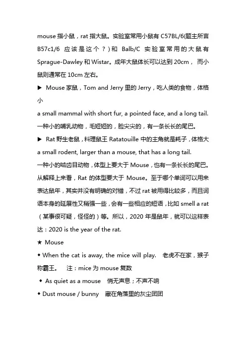 mouse和rat的区别
