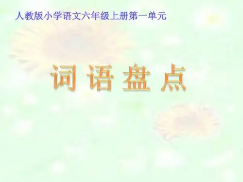 人教版六年级语文上册《一组  词语盘点》优质课课件_10