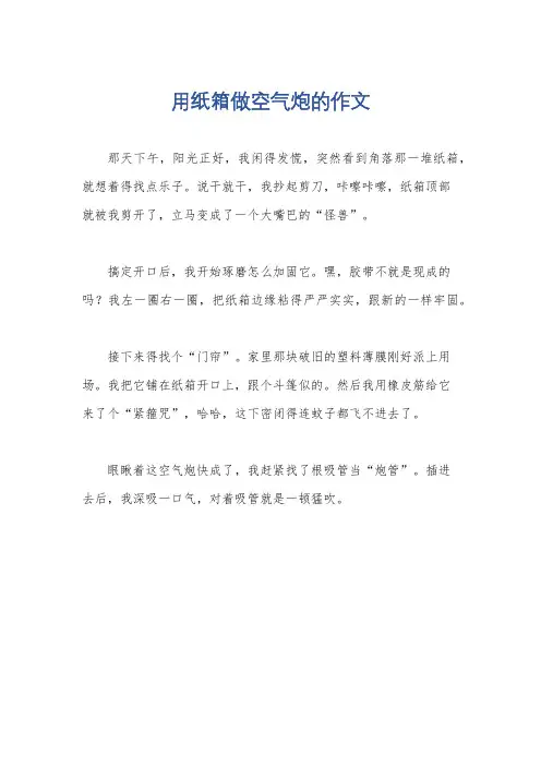 用纸箱做空气炮的作文