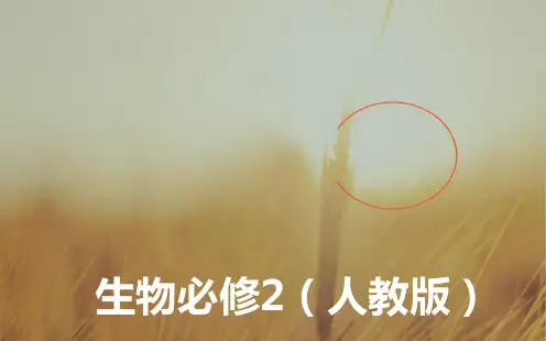 2018学年高中生物必修二课件-第3章 基因的本质 第2节DNA分子的结构