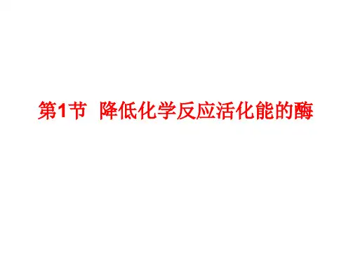 高一生物酶(2019年10月整理)