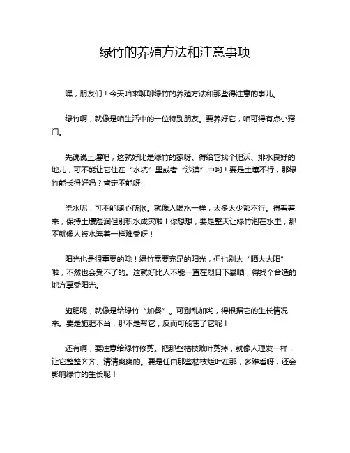 绿竹的养殖方法和注意事项