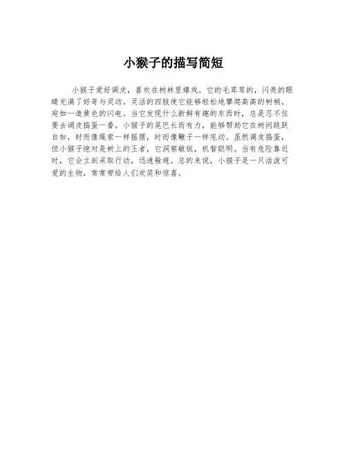小猴子的描写简短