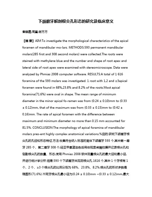 下颌磨牙解剖根尖孔形态的研究及临床意义