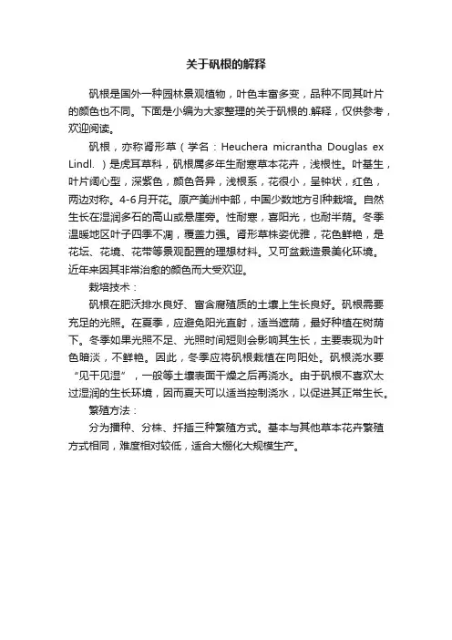 关于矾根的解释