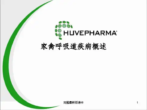 家禽呼吸道疾病概述ppt课件
