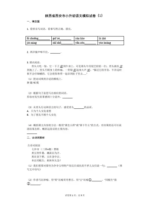 陕西省西安市小升初语文模拟试卷(1)