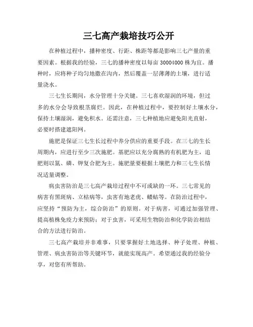 三七高产栽培技巧公开
