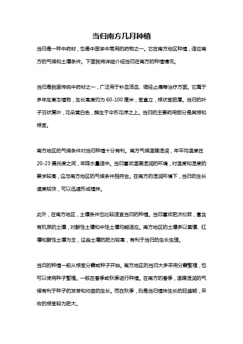 当归南方几月种植