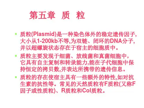 第五章质粒