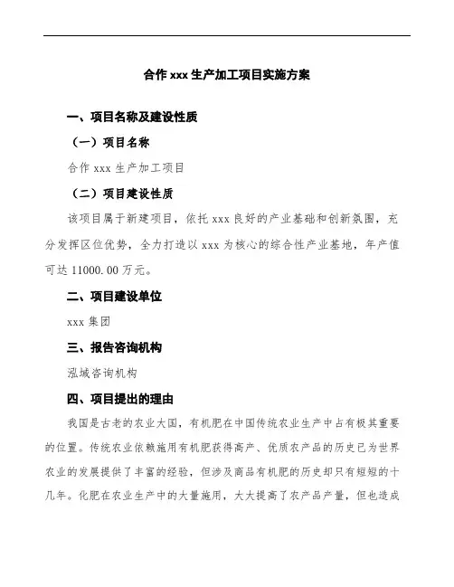 合作建设项目实施方案