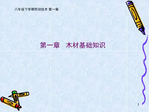 木材基础知识ppt课件